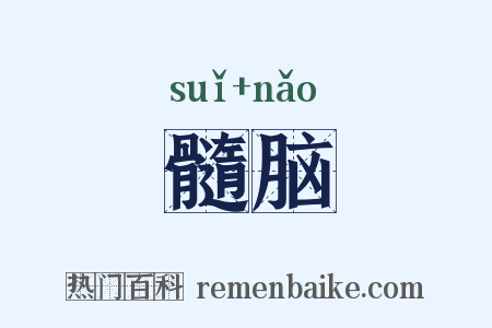 髓脑是什么意思的图片